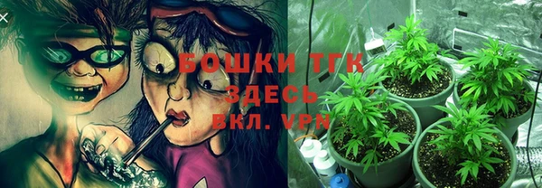 ГАЛЛЮЦИНОГЕННЫЕ ГРИБЫ Магадан