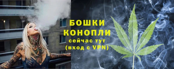 стафф Липки
