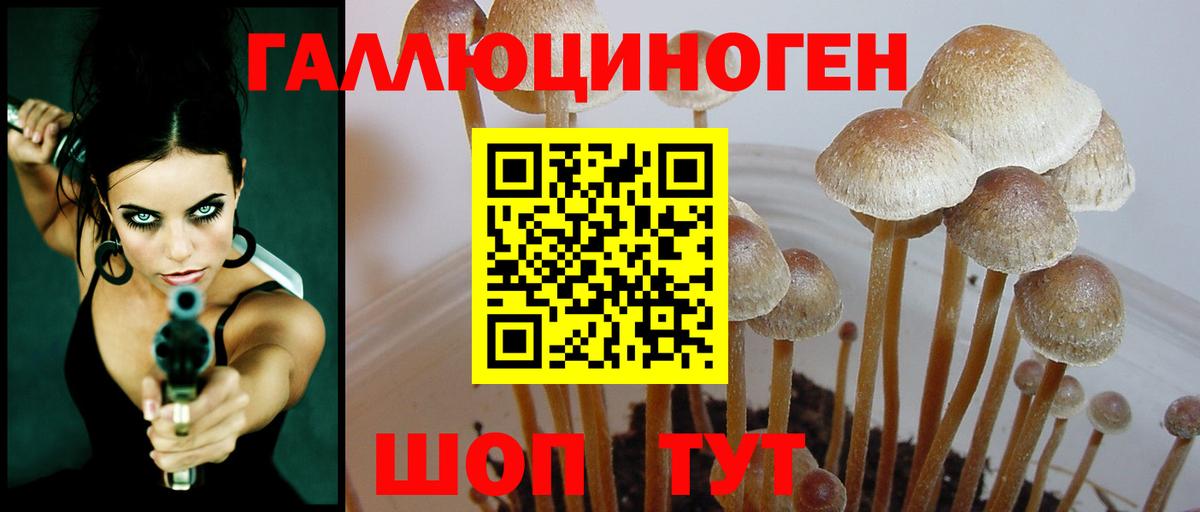 Псилоцибиновые грибы ЛСД Невинномысск