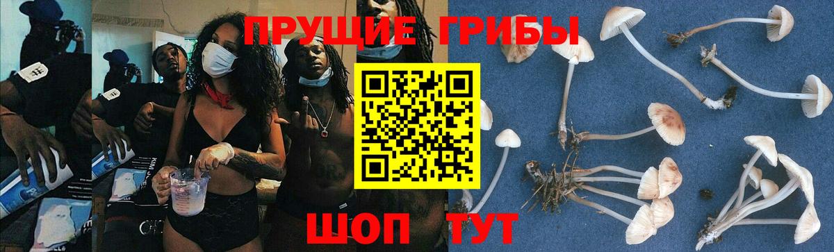 Галлюциногенные грибы Psilocybe  Галлюциногенные грибы Magic Shrooms  Вход с VPN  Невинномысск 