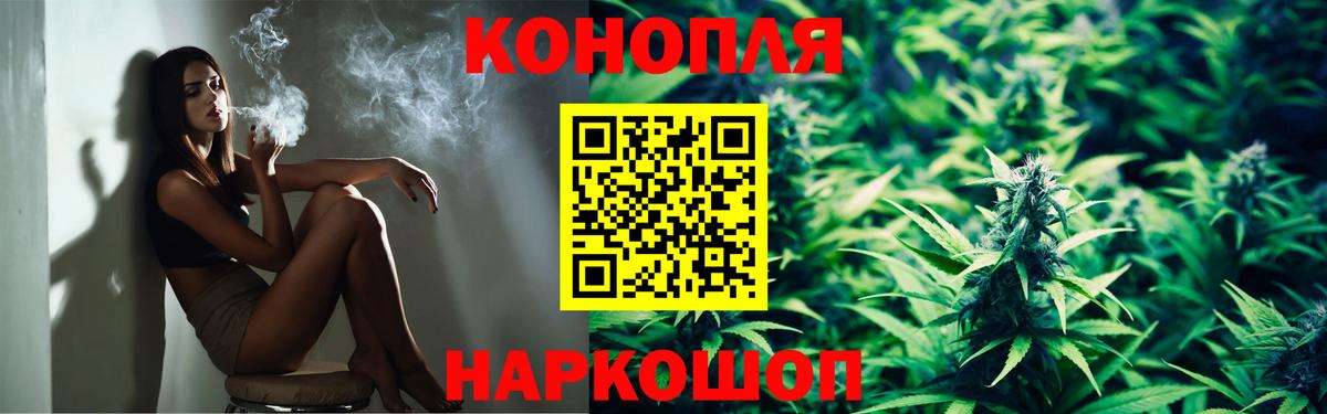 Канабис план Невинномысск
